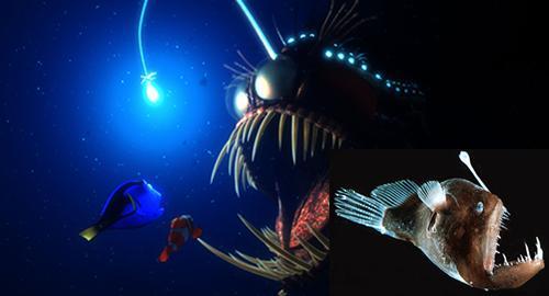 anglerfish_nemo